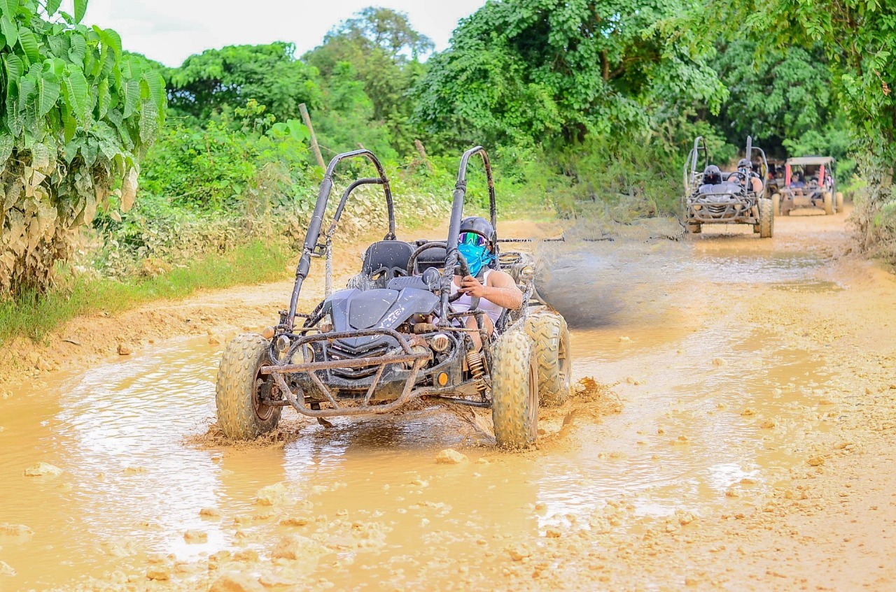 6568fc9d-335a-44dc-8143-5ffbb3338c79